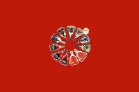 温州市鹿城回收红酒